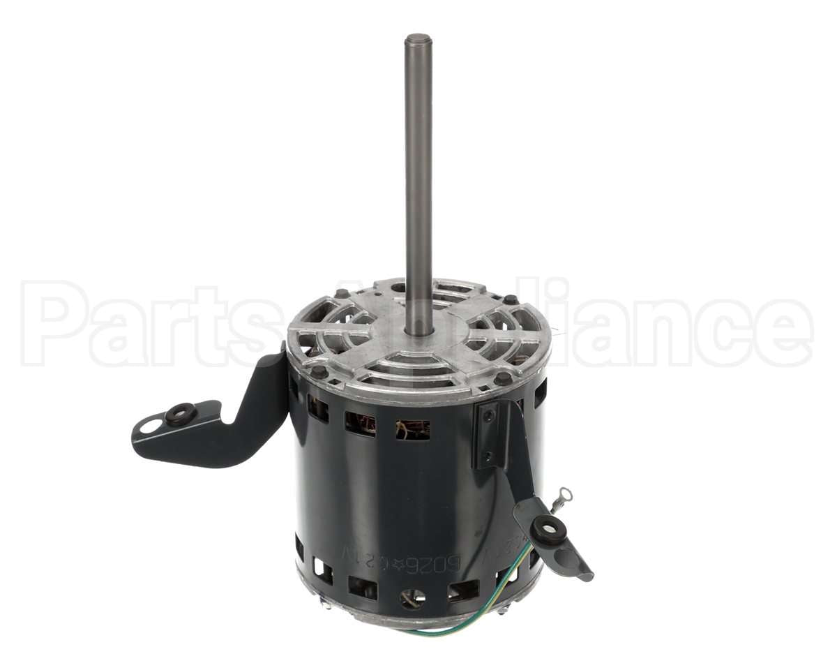 70556317 International Environmental 1/5Hp 208-230V 1Ph Motor