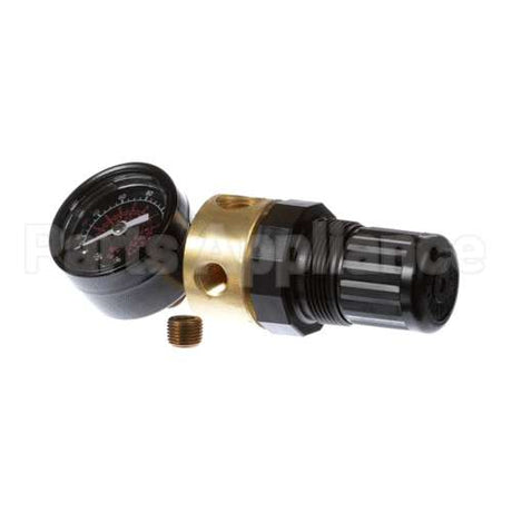 70610 Saniserv Regulator