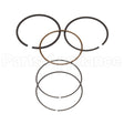 715111 Briggs & Stratton Ring Set-Std