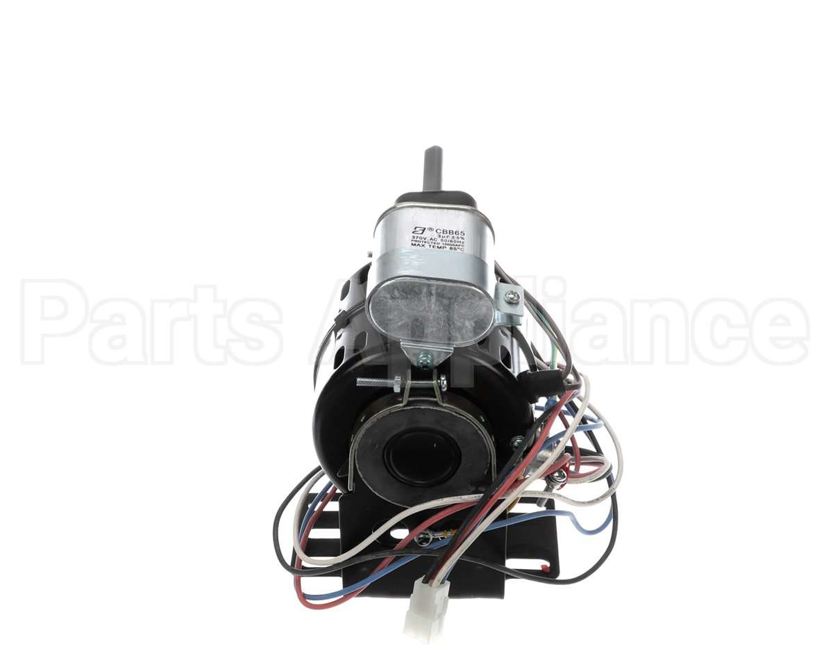 71531202 International Enviromental 120V .025Hp 1Ph Motor
