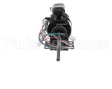 71531202 International Enviromental 120V .025Hp 1Ph Motor