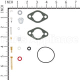 716143 Briggs & Stratton Kit-Carb Overhaul