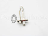 100165926 Lochinvar & A.o. Smith Ignitor W/ Gasket Cd