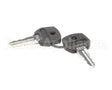 719102-KY Stoelting Keys; For 2 Pos Switch 719102