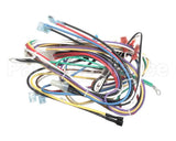 72075 Grindmaster Cecilware Harness, Non-Shutter Wiring