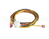 75705 Henny Penny Harness-J2 Rh Rhl Rs Rts-1&2