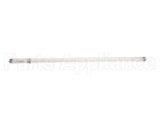 76048 Structural Concepts Bulb