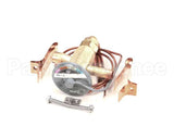 762443 Stoelting Valve Expansion Thermostatic