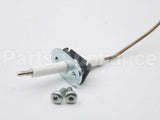 7819628 Viessmann Ionisation Electrode