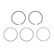 791787 Briggs & Stratton Ring Set