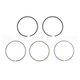 791787 Briggs & Stratton Ring Set