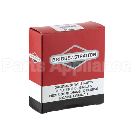 791787 Briggs & Stratton Ring Set