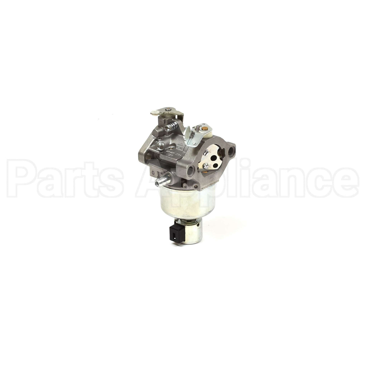 791889 Briggs & Stratton Carburetor