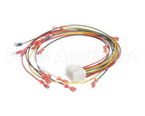 79209 Henny Penny Harness-Ofg 15 Pin Fryer Conn