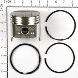 792367 Briggs & Stratton Piston-Assy-020