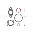 793622 Briggs & Stratton Kit-Carb Overhaul