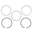 794126 Briggs & Stratton Ring Set