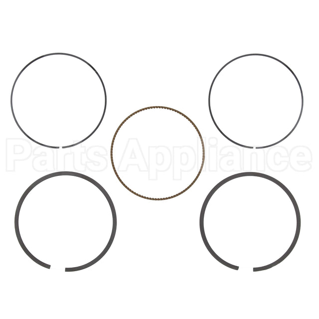 794126 Briggs & Stratton Ring Set