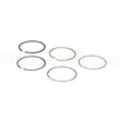 795431 Briggs & Stratton Ring Set