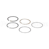 795431 Briggs & Stratton Ring Set