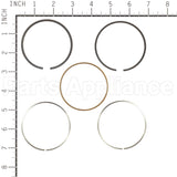 795690 Briggs & Stratton Ring Set