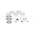 797634 Briggs & Stratton Kit-Carb Overhaul