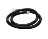 805802 American Dryer Laundry 50V Motor Plug Hrn 115V