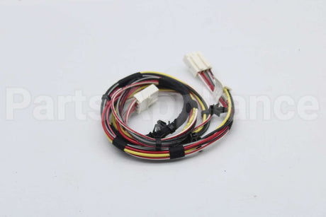 806028 Speed Queen Harn.door Lock