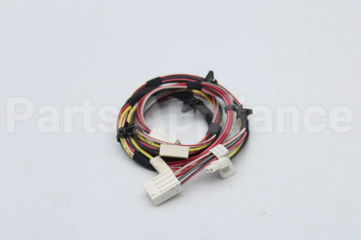 806028 Speed Queen Harn.door Lock