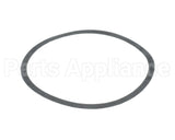 806050-000 Armstrong 4.75" Body Gasket