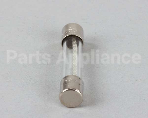 8073592 Frymaster Fuse 2A Slow Blow