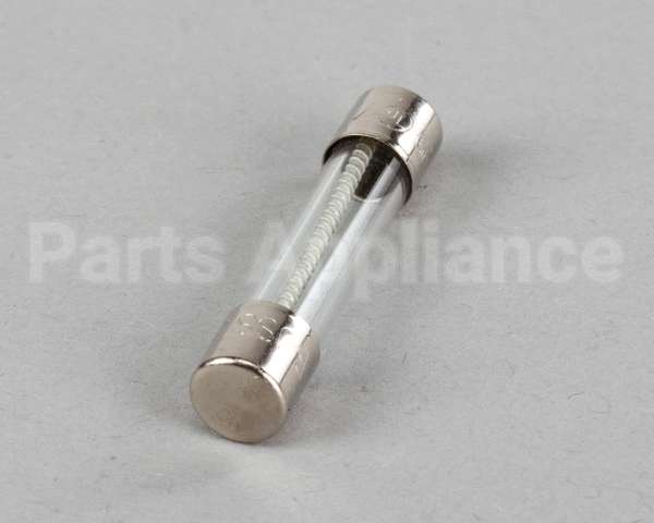 8073592 Frymaster Fuse 2A Slow Blow