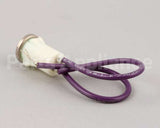 8074112 Frymaster Light, Green Flush Indicator