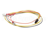 8074665 Frymaster Harness,45 Smt Intrfc To 12/24Vac