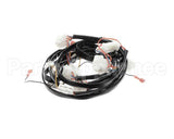 8075380 Frymaster Harness, Fv W/Single Spark Ign