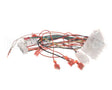8076364 Frymaster Harness, Lov-T Fv Control Box