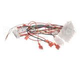8076364 Frymaster Harness, Lov-T Fv Control Box
