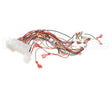 8076365 Frymaster Harness, Lov-T Dv Control Box