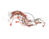 8076365 Frymaster Harness, Lov-T Dv Control Box