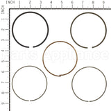 809972 Briggs & Stratton Ring Set - Std