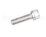 810229 Globe Shc Screw 1/4-20 X 3/4 Ss