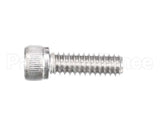 810229 Globe Shc Screw 1/4-20 X 3/4 Ss
