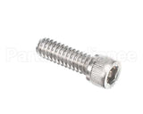 810229 Globe Shc Screw 1/4-20 X 3/4 Ss