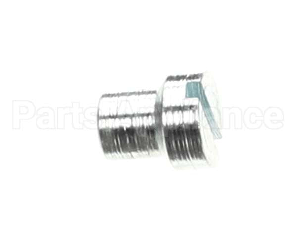 810335 Globe Gauge Plate Support Screw