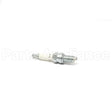 810C Champion Ra8Hc Sm Eng Plug Carded