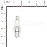 810C Champion Ra8Hc Sm Eng Plug Carded