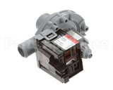 81272 Blakeslee Drain Pump