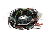81917 Henny Penny Harness-120V 390/690 Wire
