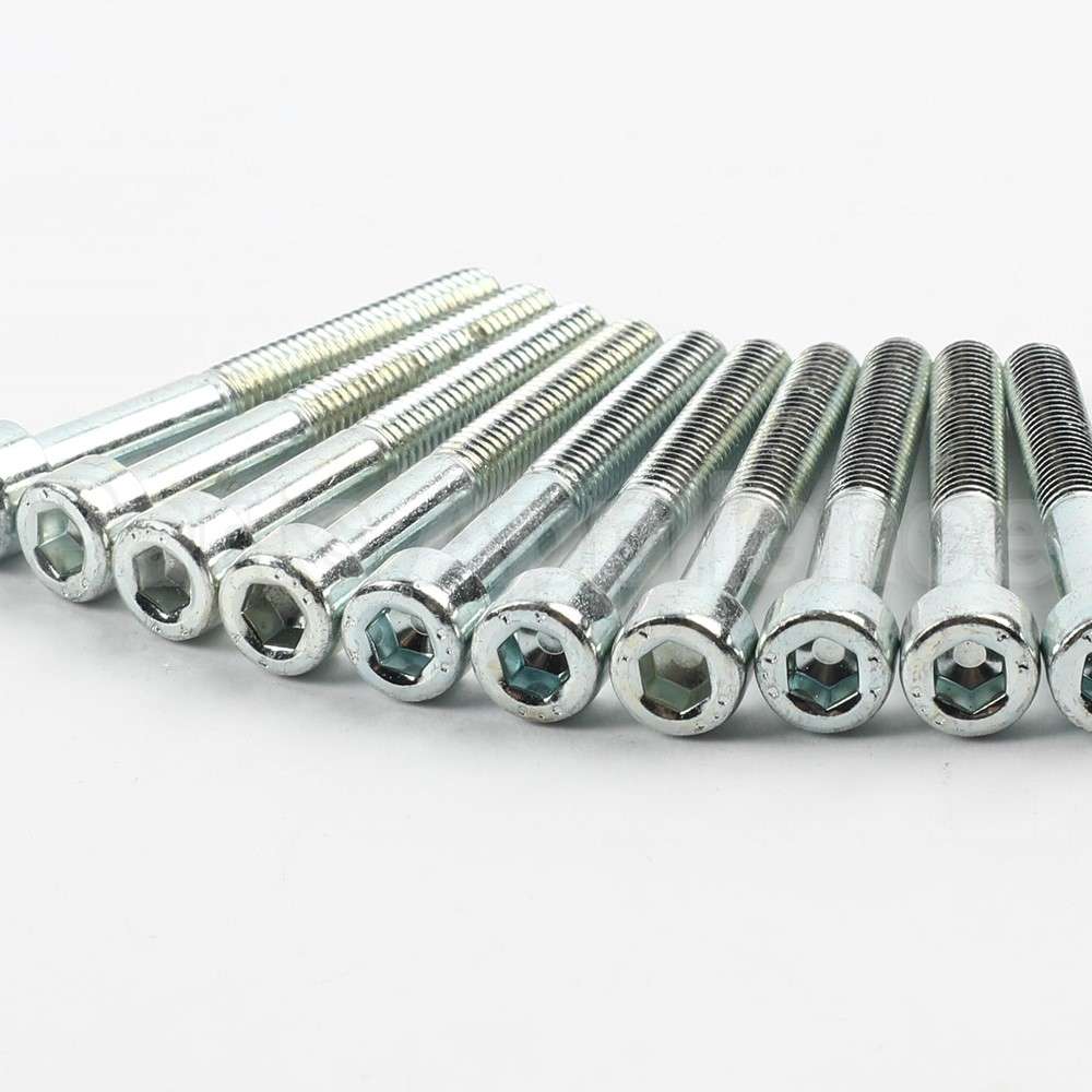 819646P Fisher Paykel Screw M5X40 Cap (Pkt 10)