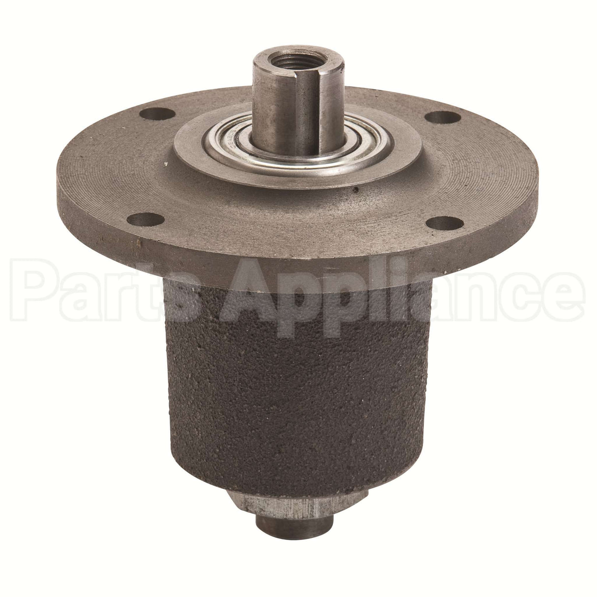 82-019 Oregon Spindleassy Bobcat Bunton